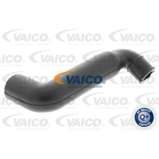 ORIGINAL Breather Hose-c W202 1040943682